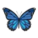 mariposa
