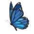 mariposa